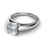 Ring-cusion-1