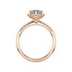 NFJ-RN-CR-12543-Design 8-B-RG-FV