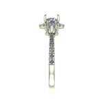 NFJ-RN-CR-12537-RV
