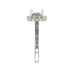 NFJ-RN-CR-12541-RV