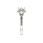 NFJ-RN-CR-12561-RV