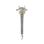 NFJ-RN-CR-12594-RV (1)